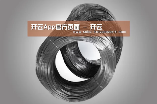 产品展示标题一(图1)