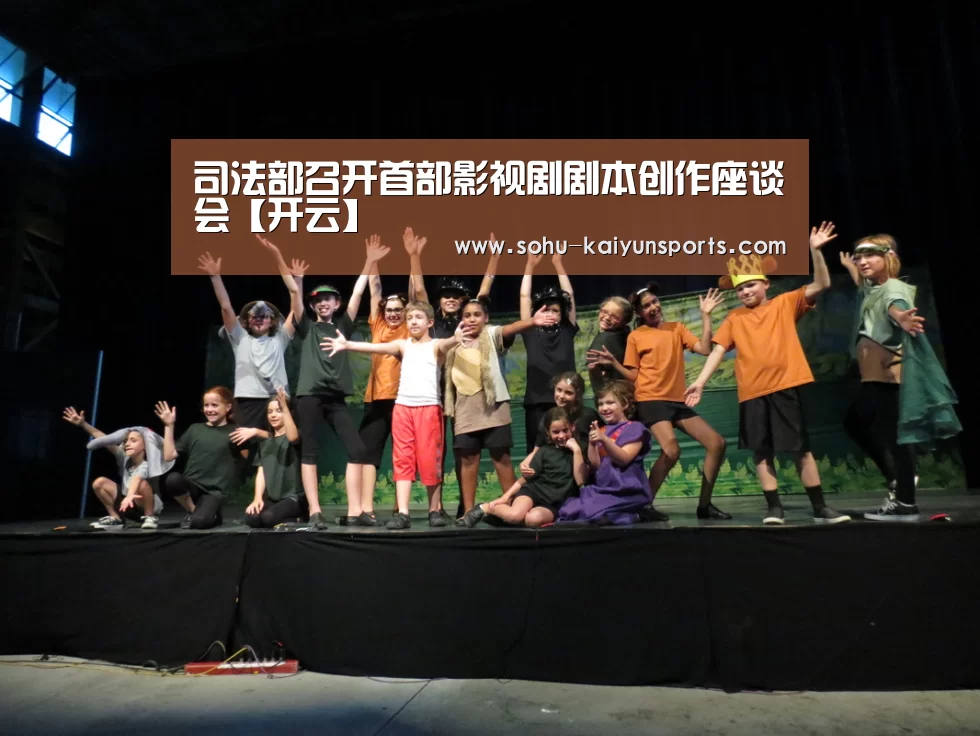 司法部召开首部影视剧剧本创作座谈会【开云】(图2) 开云